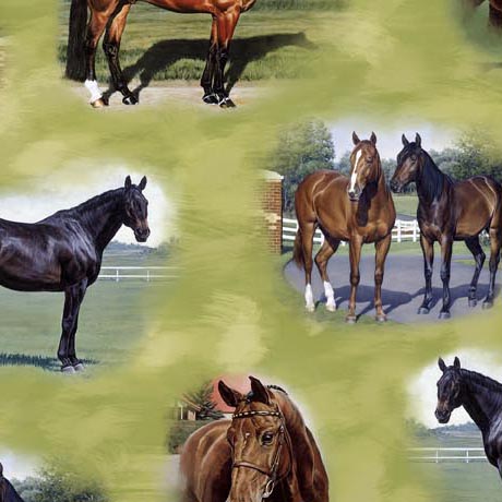 Horse Country